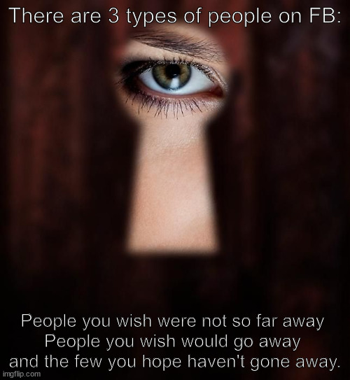 Types of people on Facebook | There are 3 types of people on FB:; People you wish were not so far away 
People you wish would go away 
and the few you hope haven't gone away. | image tagged in facebook | made w/ Imgflip meme maker