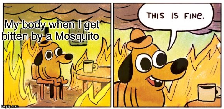 I hate their bites | My body when I get bitten by a Mosquito | image tagged in memes,this is fine | made w/ Imgflip meme maker