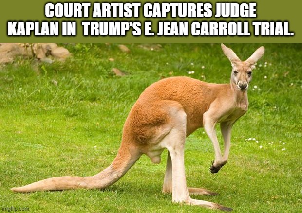 Carroll and the democrats helped change the laws in empire State to sue Trump. | COURT ARTIST CAPTURES JUDGE KAPLAN IN  TRUMP'S E. JEAN CARROLL TRIAL. | image tagged in kangaroo,judge,new york,democrats | made w/ Imgflip meme maker
