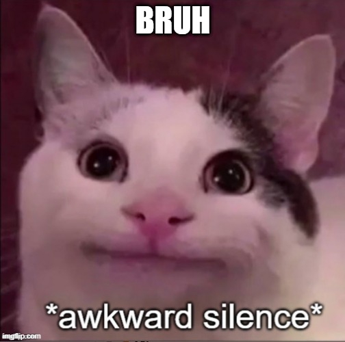 Awkward silence cat | BRUH | image tagged in awkward silence cat | made w/ Imgflip meme maker