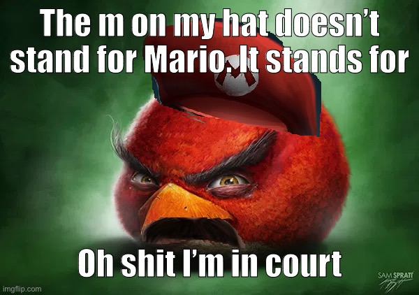 Realistic Angry Mario | The m on my hat doesn’t stand for Mario. It stands for; Oh shit I’m in court | image tagged in realistic angry mario | made w/ Imgflip meme maker