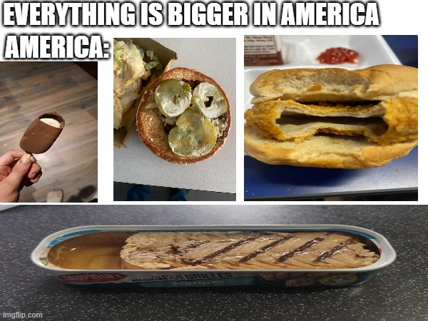 Everything Is Shrinking In America | EVERYTHING IS BIGGER IN AMERICA; AMERICA: | image tagged in memes,dank memes,funny memes,america,inflation,usa | made w/ Imgflip meme maker