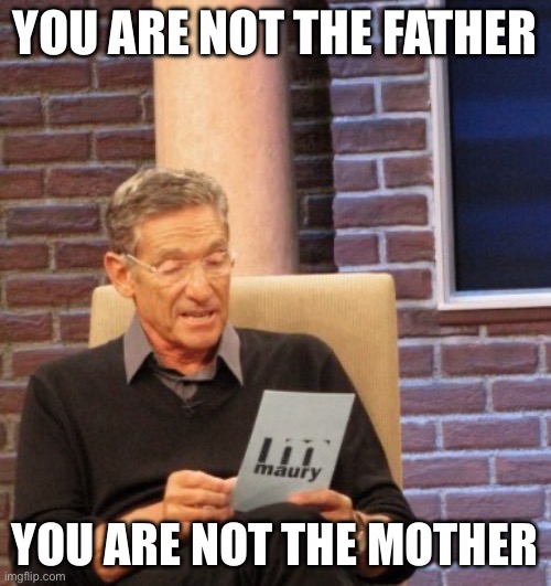 You are not the father | YOU ARE NOT THE FATHER; YOU ARE NOT THE MOTHER | image tagged in you are not the father | made w/ Imgflip meme maker