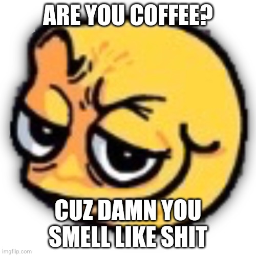 anus shit | ARE YOU COFFEE? CUZ DAMN YOU SMELL LIKE SHIT | image tagged in anus shit | made w/ Imgflip meme maker