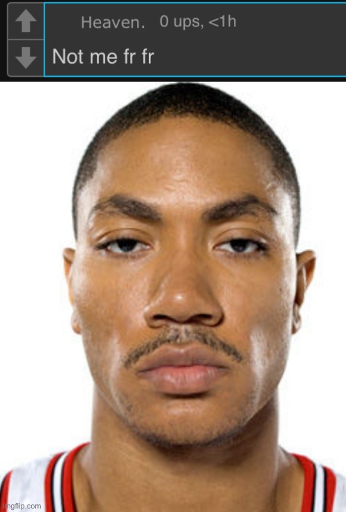 image tagged in derrick rose straight face | made w/ Imgflip meme maker