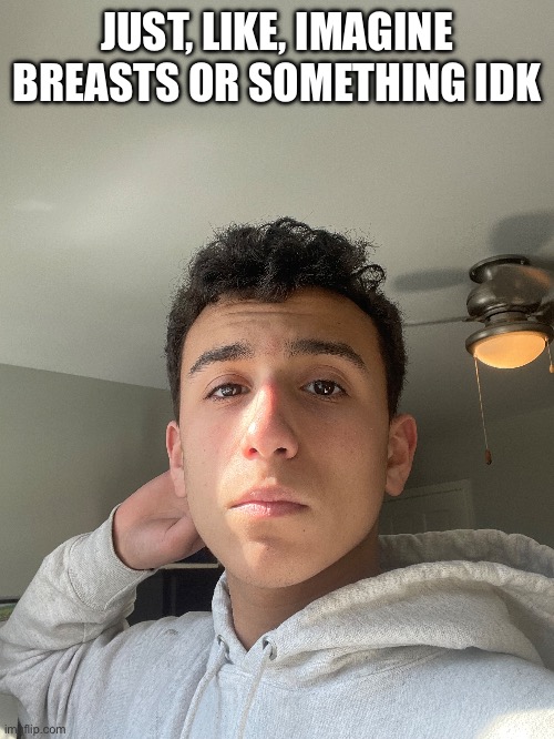 JUST, LIKE, IMAGINE BREASTS OR SOMETHING IDK | made w/ Imgflip meme maker
