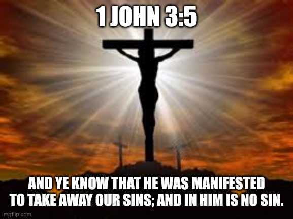 Jesus on the cross | 1 JOHN 3:5; AND YE KNOW THAT HE WAS MANIFESTED TO TAKE AWAY OUR SINS; AND IN HIM IS NO SIN. | image tagged in jesus on the cross | made w/ Imgflip meme maker