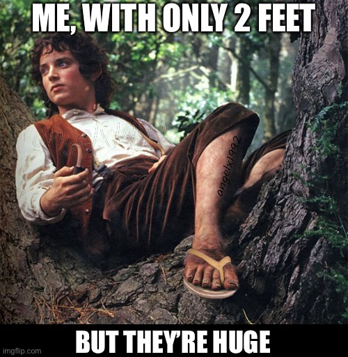hobbit feet | ME, WITH ONLY 2 FEET BUT THEY’RE HUGE | image tagged in hobbit feet | made w/ Imgflip meme maker