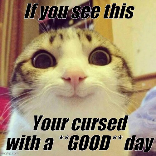 Smiling Cat | If you see this; Your cursed with a **GOOD** day | image tagged in memes,smiling cat | made w/ Imgflip meme maker