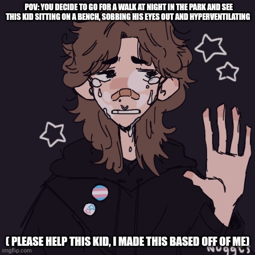 Help the poor kid | POV: YOU DECIDE TO GO FOR A WALK AT NIGHT IN THE PARK AND SEE THIS KID SITTING ON A BENCH, SOBBING HIS EYES OUT AND HYPERVENTILATING; ( PLEASE HELP THIS KID, I MADE THIS BASED OFF OF ME) | image tagged in roleplaying | made w/ Imgflip meme maker
