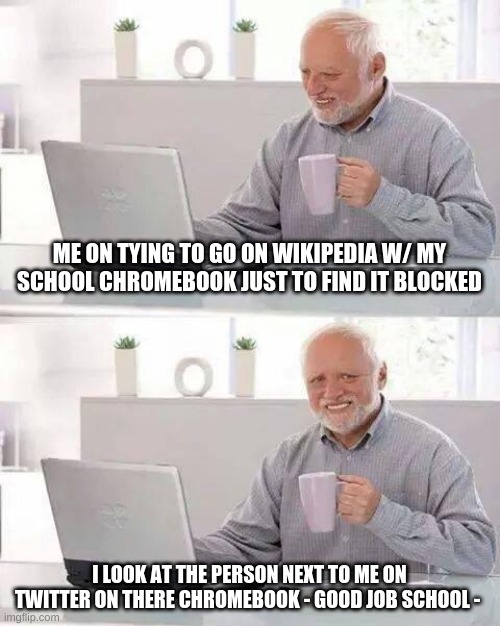 i hate school | ME ON TYING TO GO ON WIKIPEDIA W/ MY SCHOOL CHROMEBOOK JUST TO FIND IT BLOCKED; I LOOK AT THE PERSON NEXT TO ME ON TWITTER ON THERE CHROMEBOOK - GOOD JOB SCHOOL - | image tagged in memes,hide the pain harold,school sucks | made w/ Imgflip meme maker