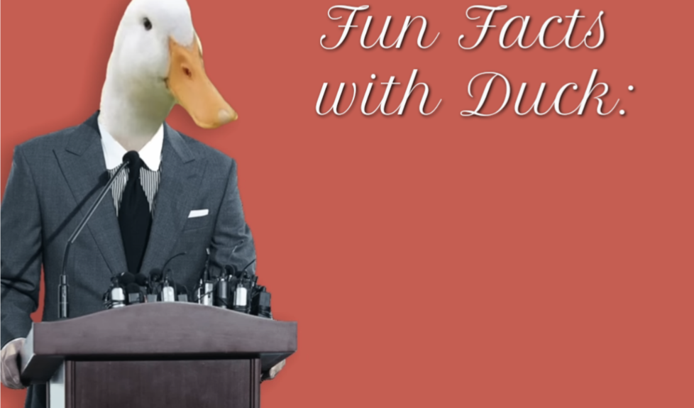 Fun Facts with Duck Blank Meme Template