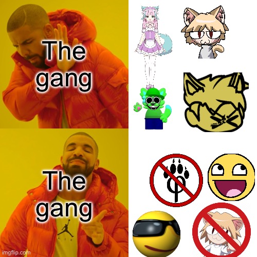 The gang vs the gang without furries | The gang; The gang | image tagged in memes,drake hotline bling | made w/ Imgflip meme maker