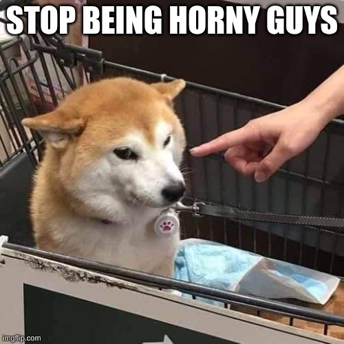 No horny | STOP BEING HORNY GUYS | image tagged in no horny | made w/ Imgflip meme maker