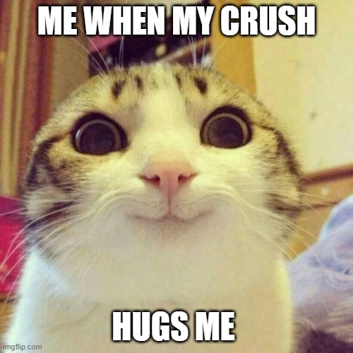im still blushing | ME WHEN MY CRUSH; HUGS ME | image tagged in memes,smiling cat | made w/ Imgflip meme maker