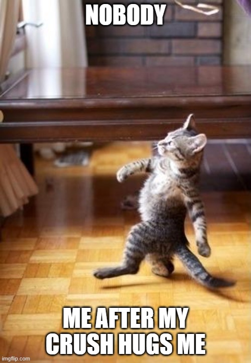 Cool Cat Stroll | NOBODY; ME AFTER MY CRUSH HUGS ME | image tagged in memes,cool cat stroll | made w/ Imgflip meme maker
