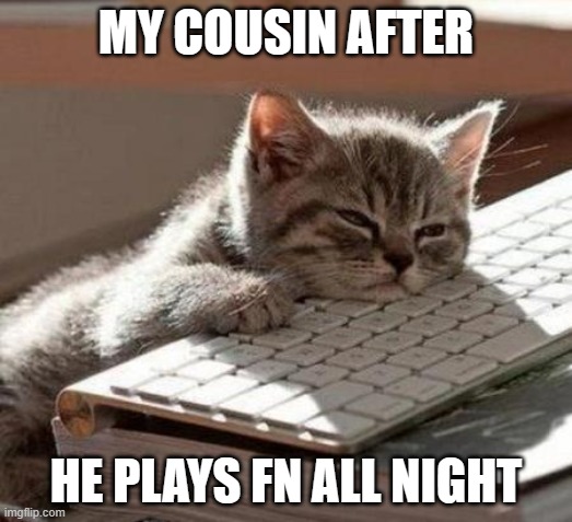 tired cat | MY COUSIN AFTER; HE PLAYS FN ALL NIGHT | image tagged in tired cat | made w/ Imgflip meme maker