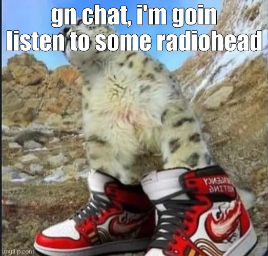 drippy cat | gn chat, i'm goin listen to some radiohead | image tagged in drippy cat | made w/ Imgflip meme maker