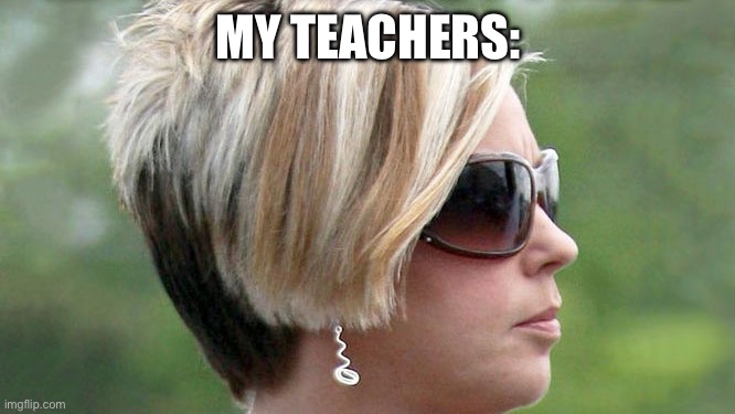 Karen | MY TEACHERS: | image tagged in karen | made w/ Imgflip meme maker
