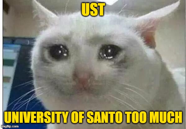 UST SCHOOL MEME | UST; UNIVERSITY OF SANTO TOO MUCH | image tagged in crying cat | made w/ Imgflip meme maker
