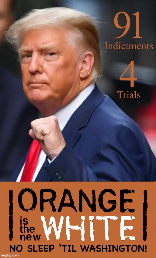 Orange is the New White Donald Trump Meme | image tagged in orange is the new white donald trump meme | made w/ Imgflip meme maker