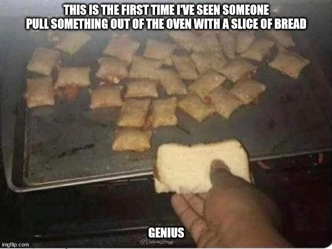 THIS IS THE FIRST TIME I'VE SEEN SOMEONE PULL SOMETHING OUT OF THE OVEN WITH A SLICE OF BREAD; GENIUS | image tagged in durl earl | made w/ Imgflip meme maker
