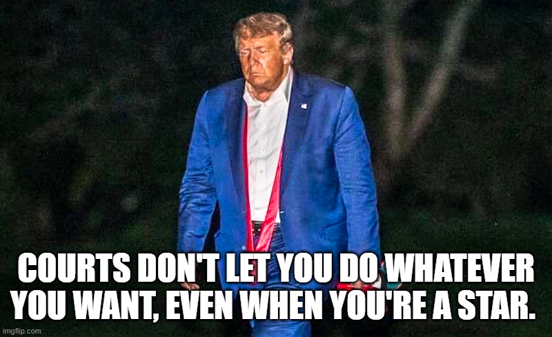 Defeated Trump Meme | COURTS DON'T LET YOU DO WHATEVER YOU WANT, EVEN WHEN YOU'RE A STAR. | image tagged in defeated trump meme | made w/ Imgflip meme maker