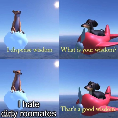 Wisdom dog | I hate dirty roomates | image tagged in wisdom dog | made w/ Imgflip meme maker