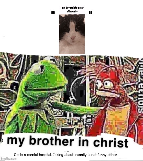 My brother in Christ | "       "; Go to a mental hospital. Joking about insanity is not funny either. | image tagged in my brother in christ | made w/ Imgflip meme maker