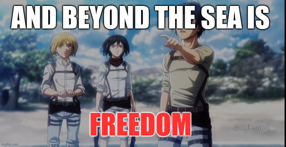 Attack on titan | AND BEYOND THE SEA IS; FREEDOM | image tagged in manga | made w/ Imgflip meme maker