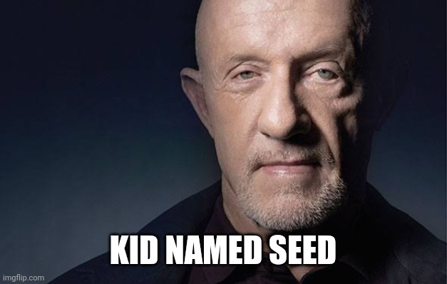Kid Named | KID NAMED SEED | image tagged in kid named | made w/ Imgflip meme maker