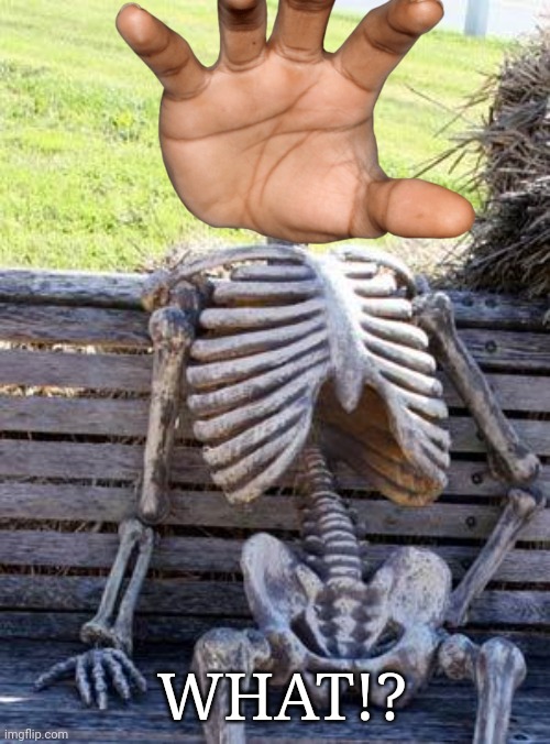 what the | WHAT!? | image tagged in memes,waiting skeleton | made w/ Imgflip meme maker