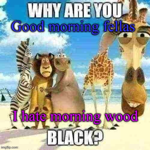 why are you black? | Good morning fellas; I hate morning wood | image tagged in i took a shit in a taco bell,and now the bathroom is flooded with dhit,my bad pookie bears who are reading this | made w/ Imgflip meme maker