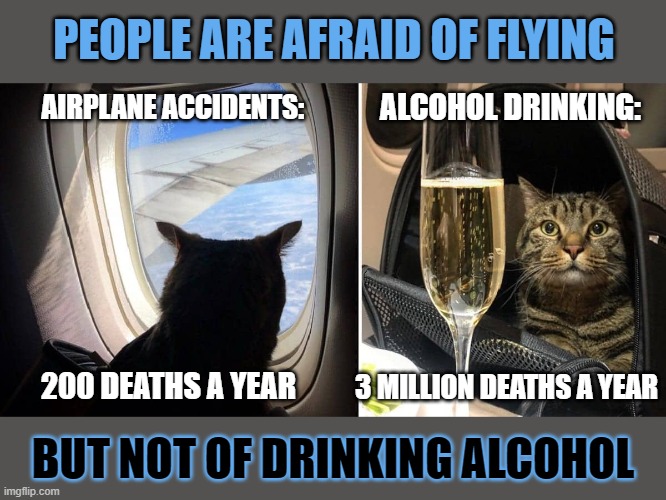 This #lolcat wonders why hoo-mans love their irrational fears | PEOPLE ARE AFRAID OF FLYING; AIRPLANE ACCIDENTS:; ALCOHOL DRINKING:; 200 DEATHS A YEAR; 3 MILLION DEATHS A YEAR; BUT NOT OF DRINKING ALCOHOL | image tagged in irrational,alcohol,flying,silly,lolcat | made w/ Imgflip meme maker