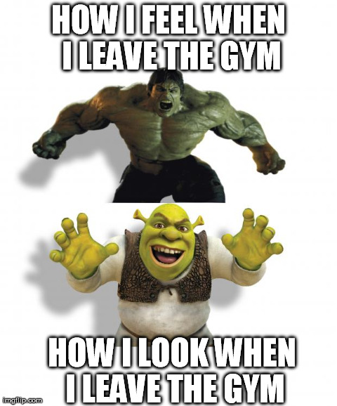 HOW I FEEL WHEN I LEAVE THE GYM HOW I LOOK WHEN I LEAVE THE GYM | image tagged in hulk vs shrek | made w/ Imgflip meme maker