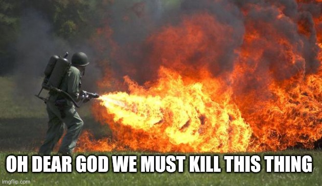 flamethrower | OH DEAR GOD WE MUST KILL THIS THING | image tagged in flamethrower | made w/ Imgflip meme maker