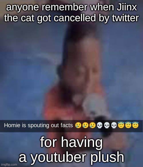 Also using random templates I have | anyone remember when Jiinx the cat got cancelled by twitter; for having a youtuber plush | image tagged in homie is spouting out facts | made w/ Imgflip meme maker