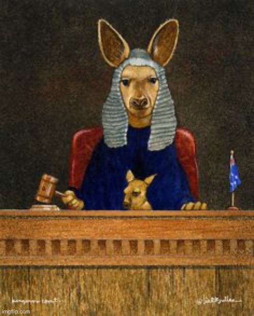 Kangaroo Court | image tagged in kangaroo court | made w/ Imgflip meme maker