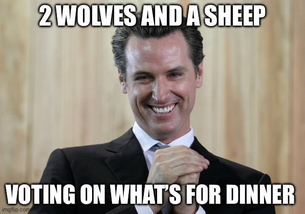 Scheming Gavin Newsom  | 2 WOLVES AND A SHEEP VOTING ON WHAT’S FOR DINNER | image tagged in scheming gavin newsom | made w/ Imgflip meme maker