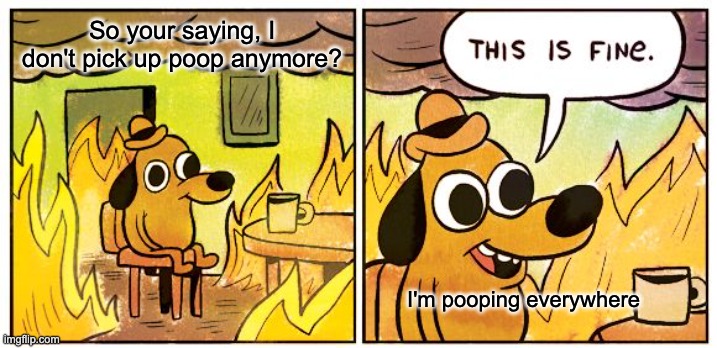This Is Fine | So your saying, I don't pick up poop anymore? I'm pooping everywhere | image tagged in memes,this is fine | made w/ Imgflip meme maker