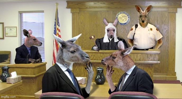 Kangaroo Court | image tagged in kangaroo court | made w/ Imgflip meme maker