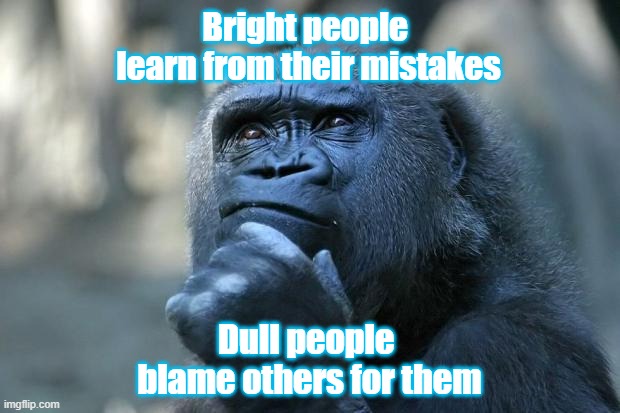 Bright people | Bright people 
learn from their mistakes; Dull people 
blame others for them | image tagged in deep thoughts | made w/ Imgflip meme maker