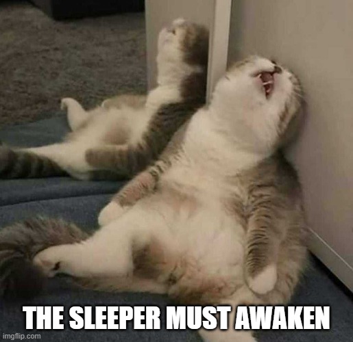 sleeper must awaken | THE SLEEPER MUST AWAKEN | image tagged in deep sleep cat | made w/ Imgflip meme maker
