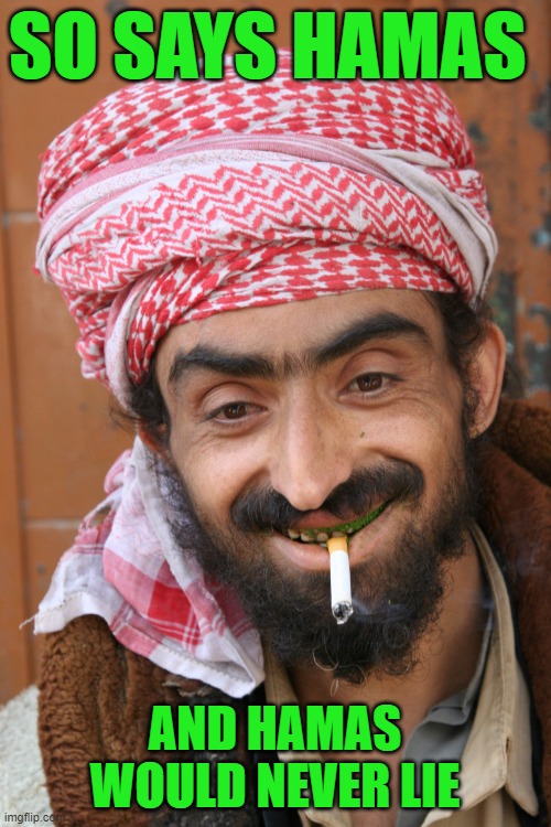 arab | SO SAYS HAMAS AND HAMAS WOULD NEVER LIE | image tagged in arab | made w/ Imgflip meme maker