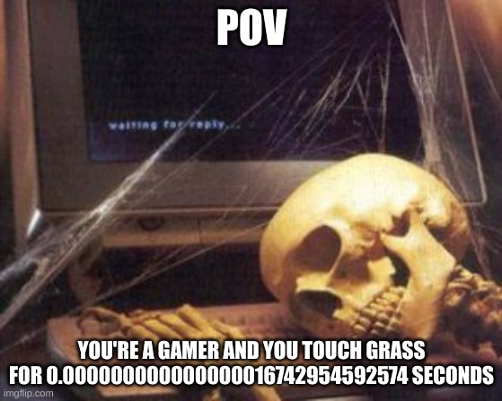 Gamers be like | POV; YOU'RE A GAMER AND YOU TOUCH GRASS FOR 0.000000000000000016742954592574 SECONDS | image tagged in skeleton computer | made w/ Imgflip meme maker