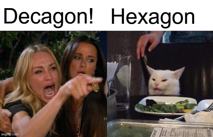 Woman Yelling At Cat Meme | Decagon! Hexagon | image tagged in memes,woman yelling at cat | made w/ Imgflip meme maker