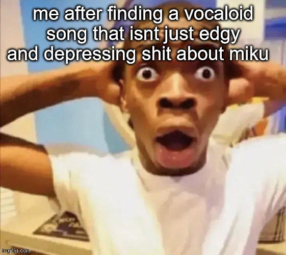 in shock | me after finding a vocaloid song that isnt just edgy and depressing shit about miku | image tagged in in shock | made w/ Imgflip meme maker