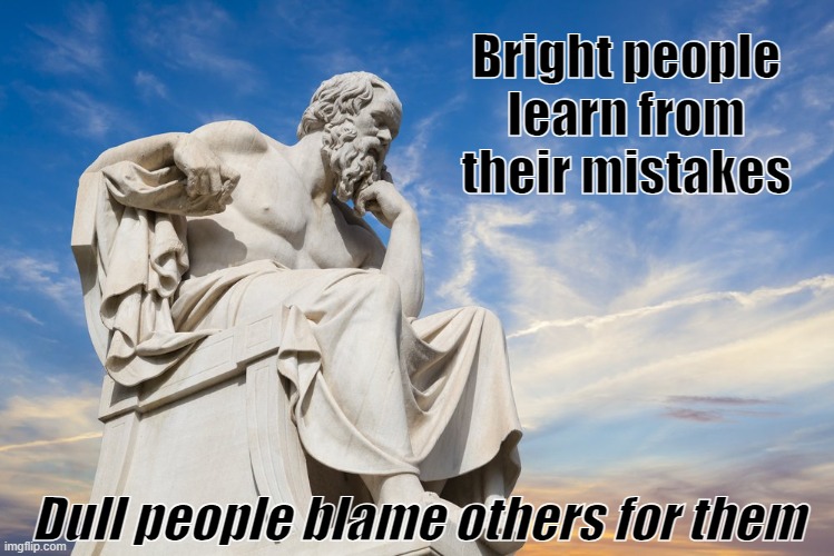 Bright people | Bright people learn from their mistakes; Dull people blame others for them | image tagged in philosophy | made w/ Imgflip meme maker