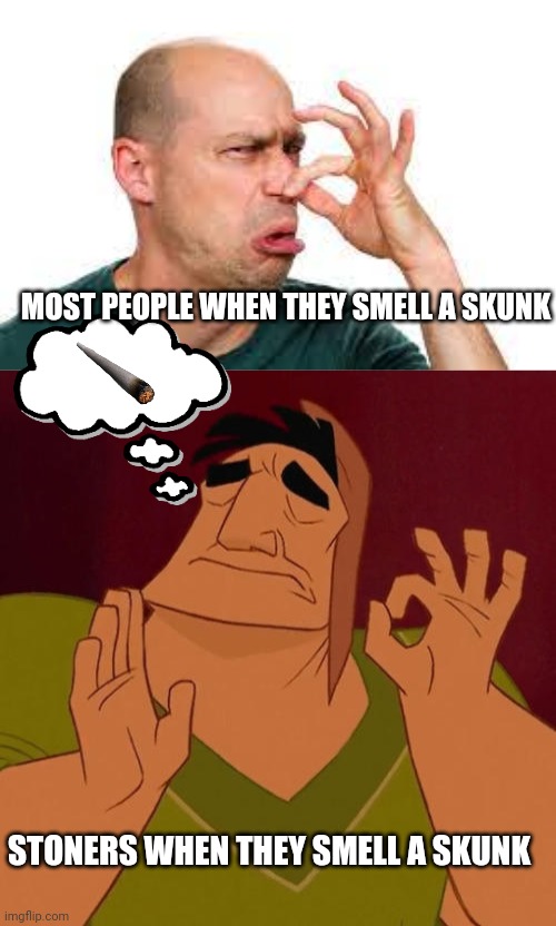 Cured of skunkphobia | MOST PEOPLE WHEN THEY SMELL A SKUNK; STONERS WHEN THEY SMELL A SKUNK | image tagged in bad smell,when x just right,420 blaze it,skunk,smelly | made w/ Imgflip meme maker