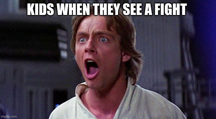 luke skywalker | KIDS WHEN THEY SEE A FIGHT | image tagged in luke skywalker | made w/ Imgflip meme maker